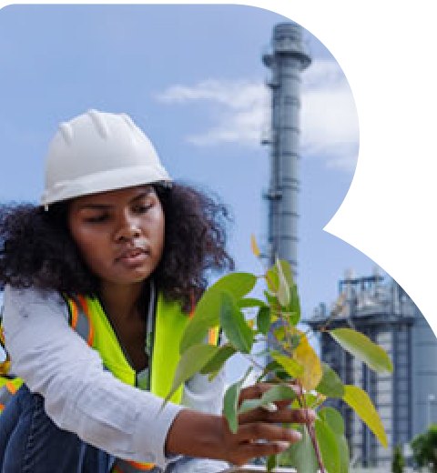 Environmental and technical consultancy work